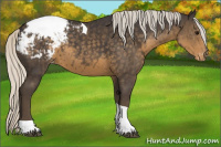 Horse Color:Silver Smoky Black Tobiano Appaloosa Rabicano