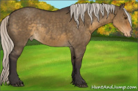 Horse Color:Silver Smoky Grullo Appaloosa Rabicano