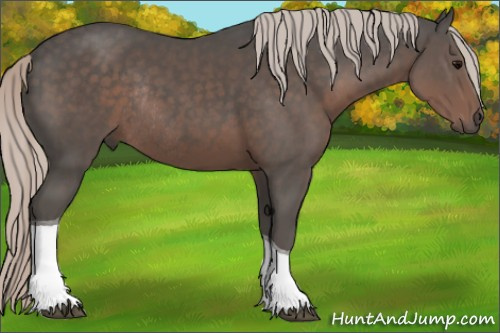 Horse Color:Silver Black Tobiano Rabicano
