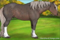 Horse Color:Silver Black Tobiano Rabicano