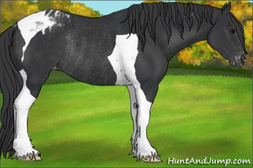 Horse Color:Black Tobiano Varnish Rabicano 
