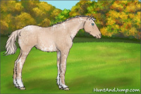 Horse Color:Silver Buckskin Ice Pearl Tobiano 