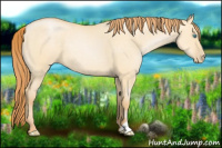 Horse Color:Buckskin Pearl Dun 