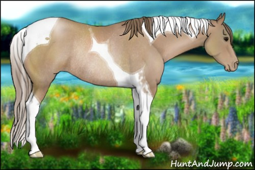 Horse Color:Black Pearl Tobiano Rabicano