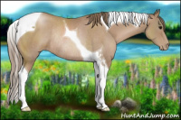 Horse Color:Black Pearl Tobiano Rabicano 