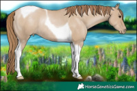 Horse Color:Grullo Pearl Tobiano Rabicano 