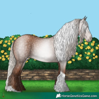 Horse Color:Gray Silver Black Pearl Tobiano