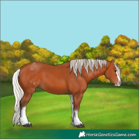 Horse Color:White Spotted Silver Bay Splash 
