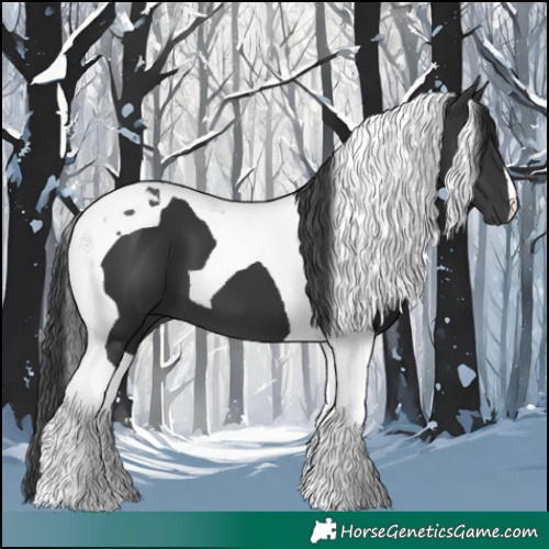 Horse Color:Black Tobiano