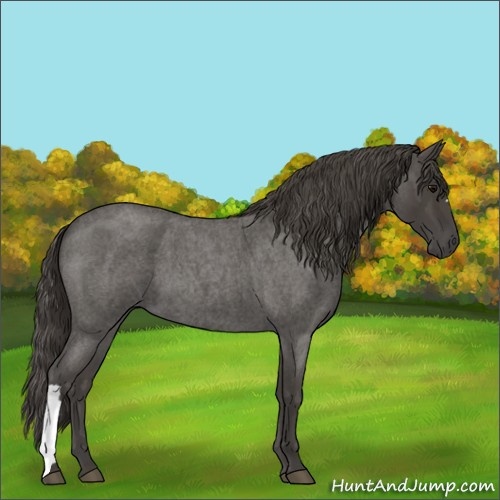 Horse Color:Smoky Blue Roan 