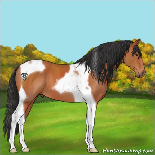 Horse Color:Bay Tobiano 
