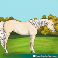 Horse Color:Silver Amber Cream Champagne Dun Rabicano 