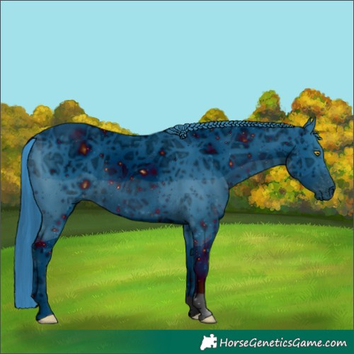 Horse Color:ERROR: UNKNOWN ANOMALY