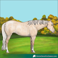 Horse Color:Silver Amber Champagne Ice Dun Rabicano 