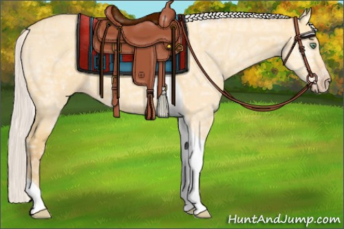 Horse Color:Silver Amber Cream Champagne Ice Dun Tobiano Rabicano