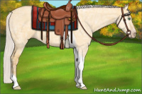 Horse Color:Silver Amber Cream Champagne Ice Dun Tobiano Rabicano 