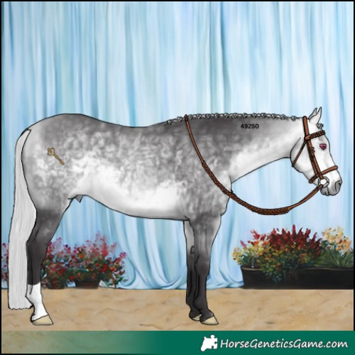 Horse Color:Silver Buckskin Chinchilla 