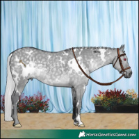 Horse Color:White Spotted Silver Grullo Chinchilla 