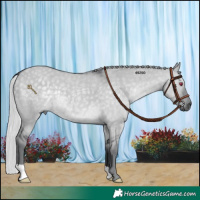 Horse Color:Silver Grullo Chinchilla 