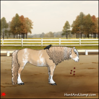 Horse Color:White Spotted Red Dun 