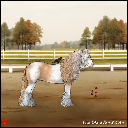 Horse Color:White Spotted Chestnut
