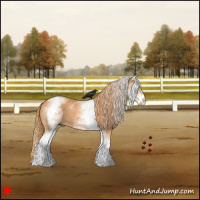 Horse Color:White Spotted Chestnut