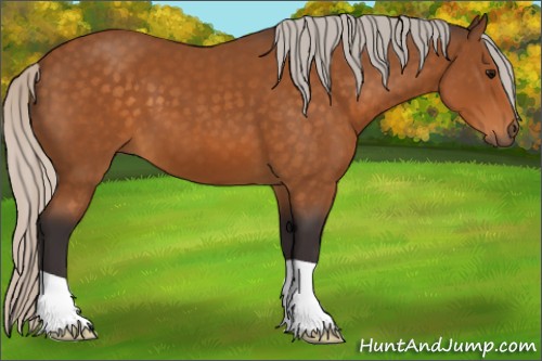 Horse Color:Silver Buckskin 