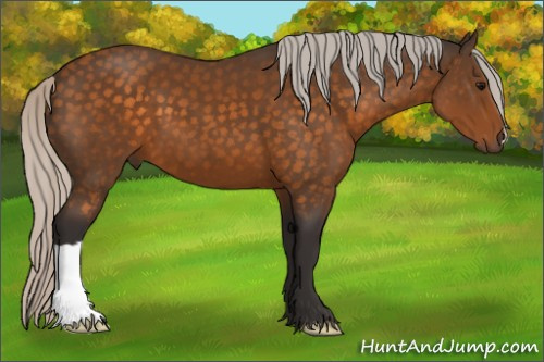 Horse Color:Silver Buckskin 