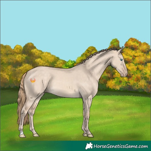 Horse Color:Perlino Dun