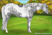 Horse Color:Silver Blue Onyx Chinchilla and Silver Black Chinchilla Tobiano
