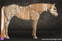 Horse Color:Gray White Spotted Smoky Black Ice  Brindle