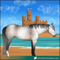 Horse Color:Gray Bay Rabicano