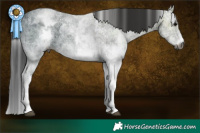 Horse Color:Gray White Spotted Black Ice Brindle