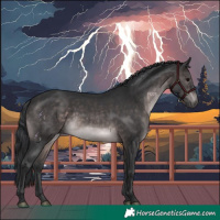Horse Color:Platinum Brown 