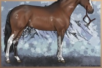 Horse Color:White Spotted Bay 