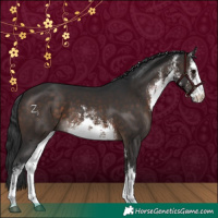 Horse Color:White Spotted Brown 