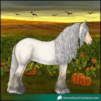 Horse Color:Silver Buckskin Roan Dun 