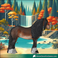 Horse Color:Brown 