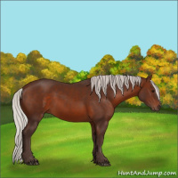 Horse Color:Silver Brown 