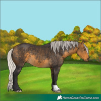 Horse Color:Silver Buckskin 