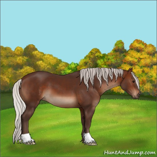 Horse Color:Silver Brown 
