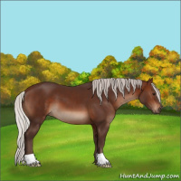 Horse Color:Silver Brown 