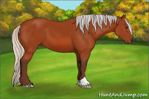 Horse Color:Silver Brown 