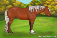 Horse Color:Silver Brown 