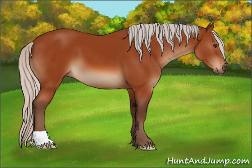 Horse Color:Silver Brown 