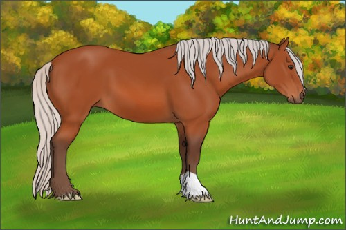 Horse Color:Silver Brown 