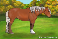 Horse Color:Silver Brown 