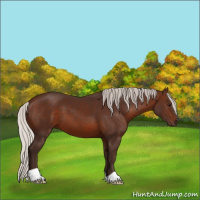 Horse Color:Silver Brown