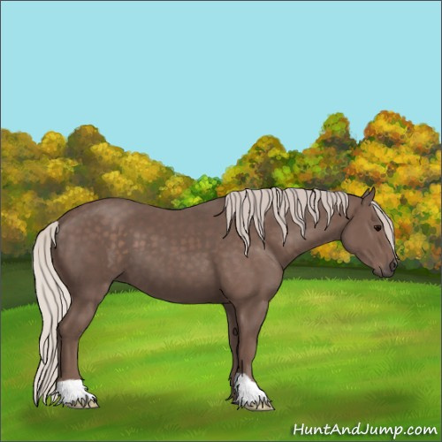 Horse Color:Silver Black 