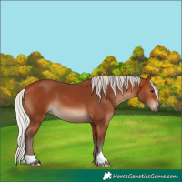 Horse Color:Silver Bay 